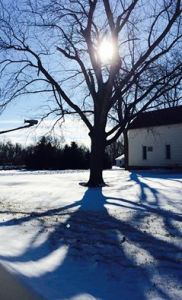 2015.2.26 Crisp Morning